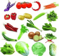 2026年深圳食堂承包